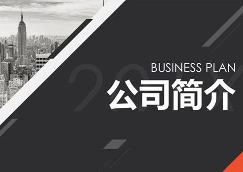 广州帝能云科技股份有限公司公司简介